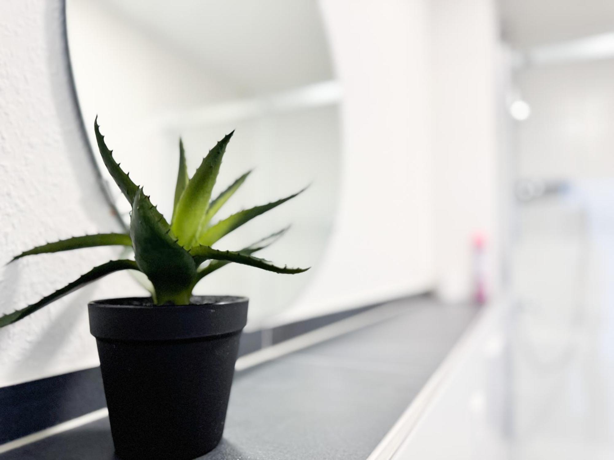 Modern Living Studios Karlsbad Zewnętrze zdjęcie